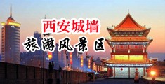 大粗鸡巴用力操逼逼舒服视频中国陕西-西安城墙旅游风景区